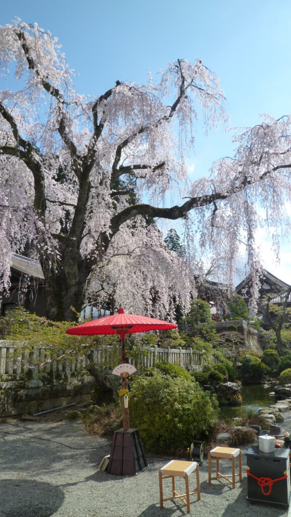 身延山久遠寺05