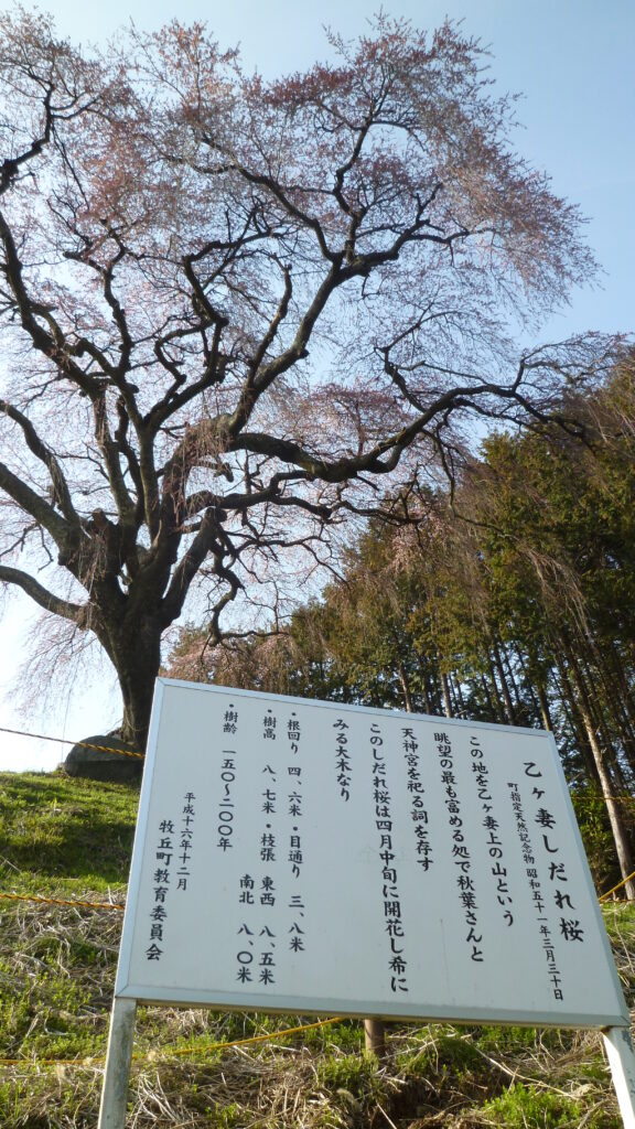 乙ヶ妻02
