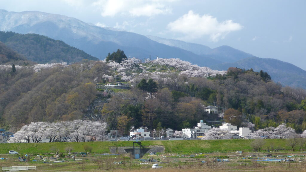大法師公園02