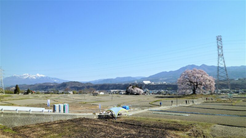 わに塚の桜_道のり02