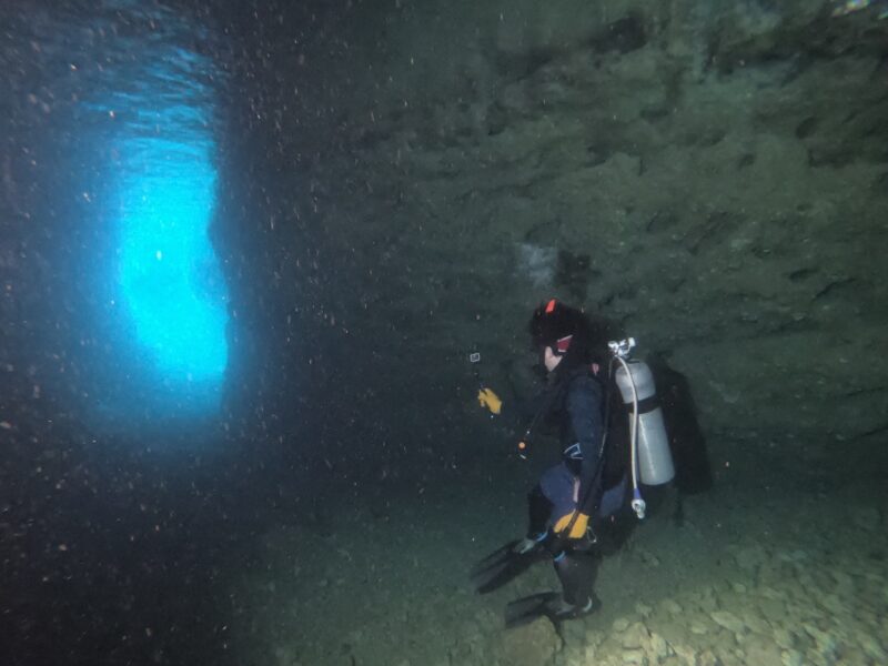 青の洞窟ダイビングの予約