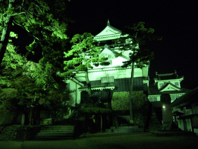 岡崎城ライトアップ01