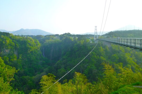 九重”夢”大吊橋02