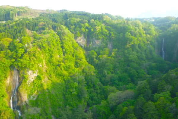 九重”夢”大吊橋03