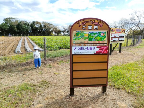 マザー牧場　ウエスト農園01