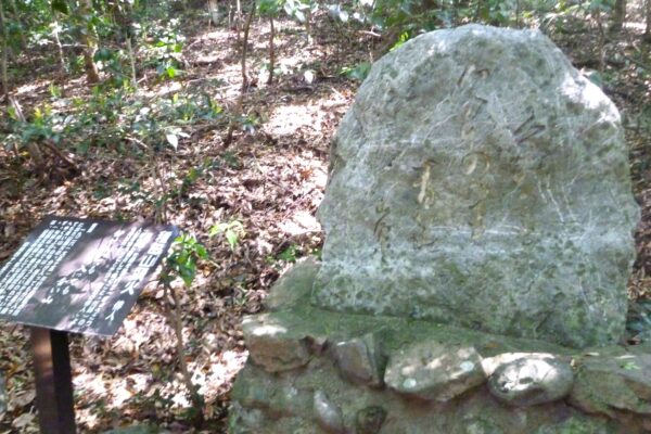 高千穂神社01