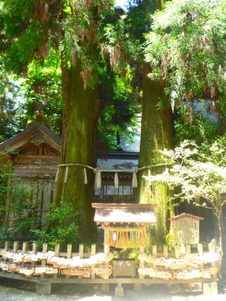 高千穂神社02